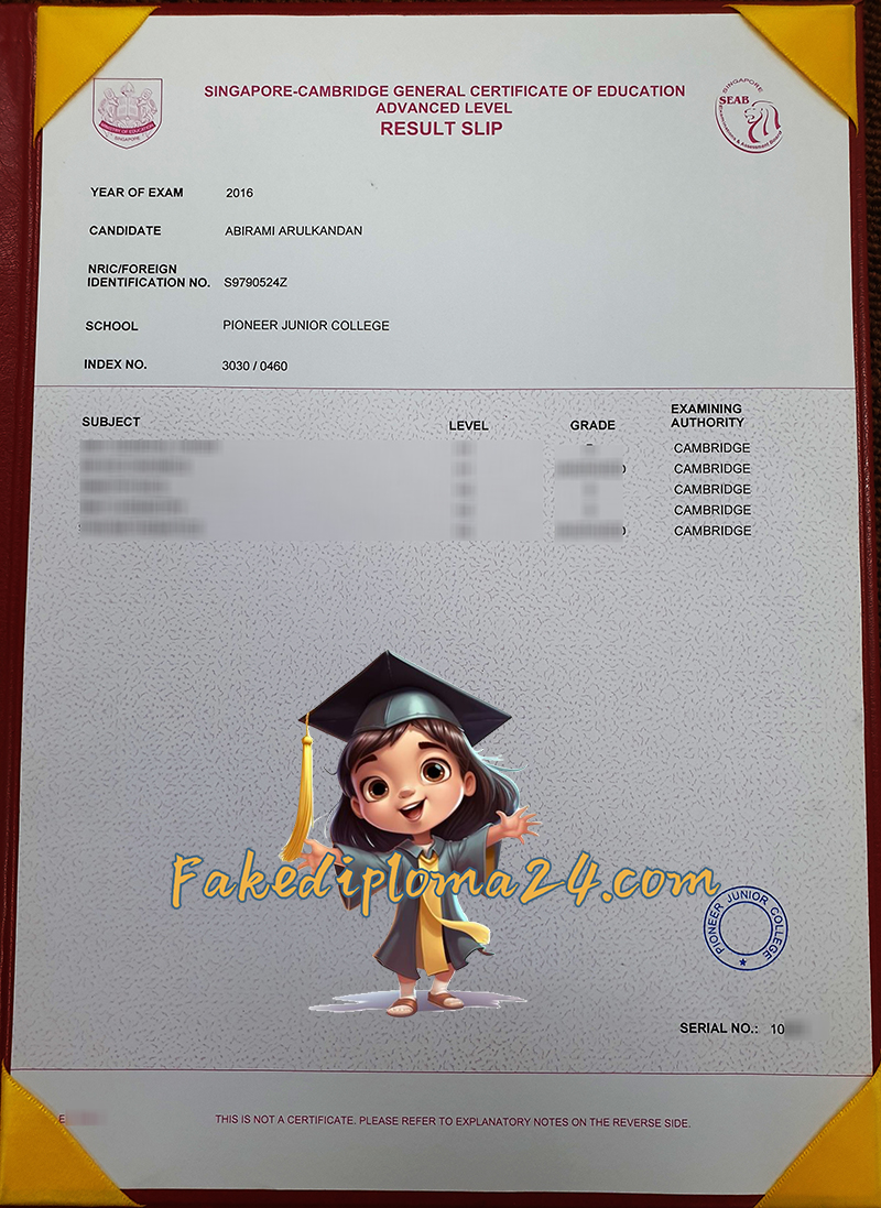 Singapore Cambridge GCE A Level Result Slip