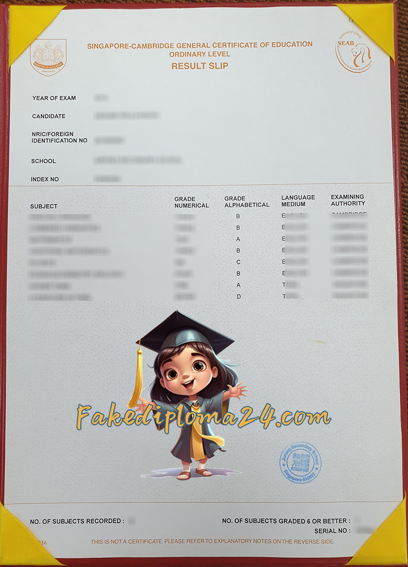 Singapore Cambridge GCE O Level Result Slip