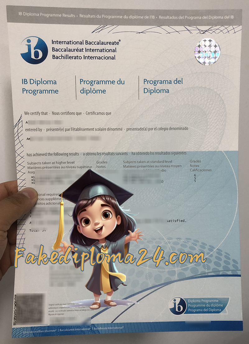 IB Diploma