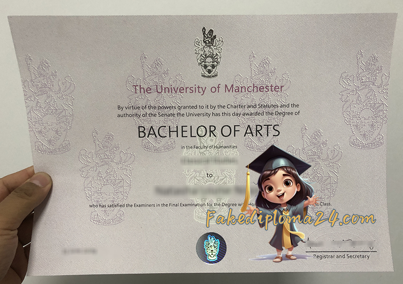 University of Manchester degree