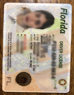 Florida ID, Scannable Florida driver’s license