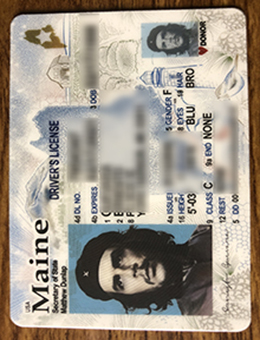 Maine-drivers-license-sample