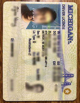 Michigan ID，Michigan driver's license