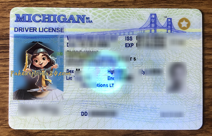 Michigan ID，Michigan driver's license