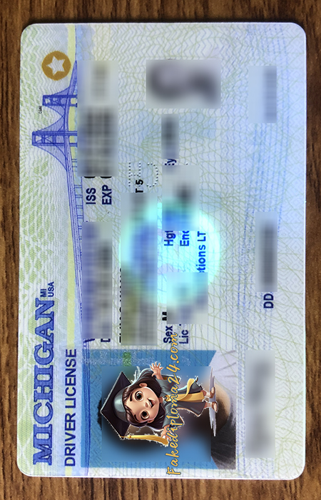 Michigan ID，Scannable Michigan driver's license