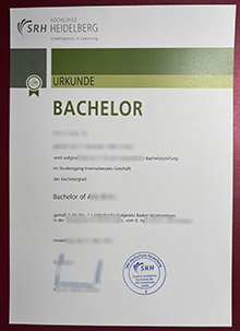 SRH Hochschule Heidelberg Urkunde sample