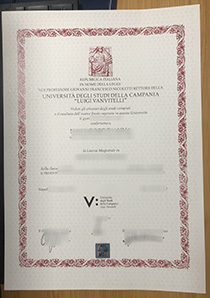 Università degli Studi della Campania Luigi Vanvitelli Laurea sample