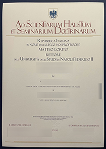 Università degli Studi di Napoli Federico II Laurea sample