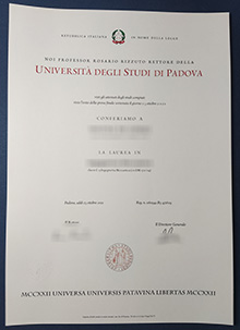 Università degli Studi di Padova Laurea sample